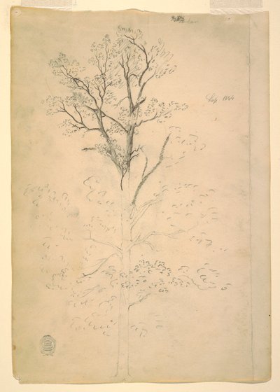 Tegning, tre, september 1844 av Frederic Edwin Church