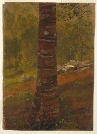  av Frederic Edwin Church