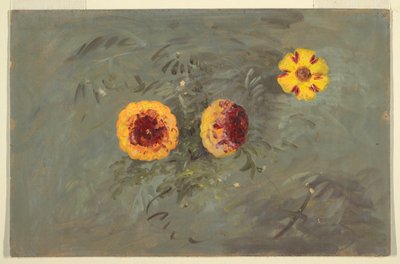  av Frederic Edwin Church