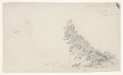 Eviggrønt tre nær kysten med en detalj av fyret og et hus, Mount Desert, Maine av Frederic Edwin Church