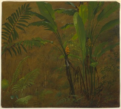 Bregner og vill groblad, Jamaica av Frederic Edwin Church