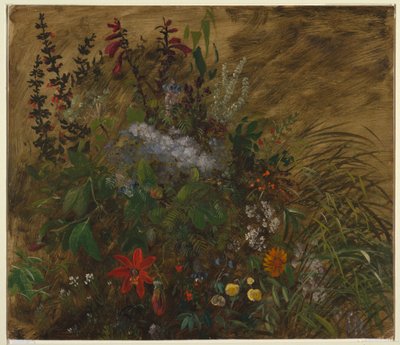 Blomster på Jamaica av Frederic Edwin Church