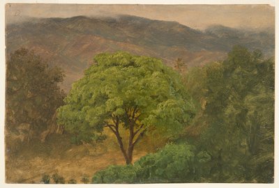 Genip Tree i fjellene, Jamaica av Frederic Edwin Church