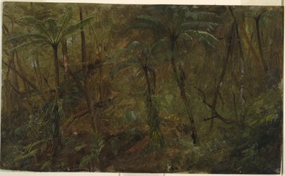 I skogen, Jamaica av Frederic Edwin Church