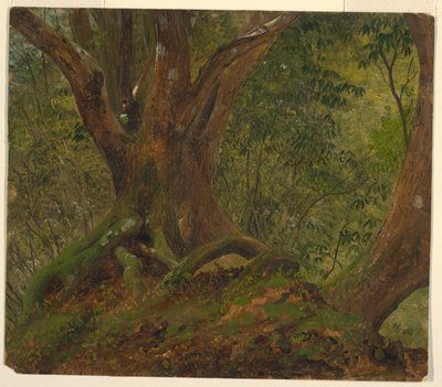 I skogen, Jamaica av Frederic Edwin Church