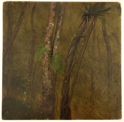 Landskap på Jamaica av Frederic Edwin Church