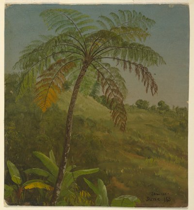 Palmetre, Jamaica av Frederic Edwin Church