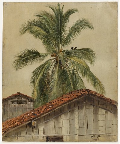 Palmer og hustak, Ecuador av Frederic Edwin Church