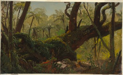 Regnskogen, Jamaica av Frederic Edwin Church