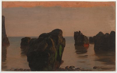 Steiner og mose utenfor Grand Manan av Frederic Edwin Church