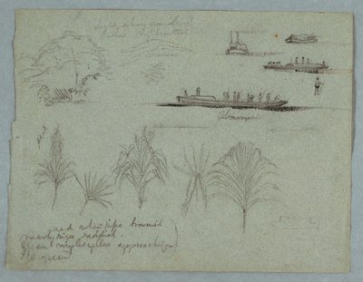 Skisser fra Rio Magdalena, Colombia: Plants, Steamer, and a Champan av Frederic Edwin Church