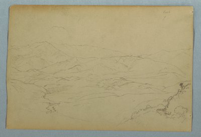 Skisser av planter og av en del av balustraden som grenser til terrassen på vertshuset i Guaranda, Ecuador av Frederic Edwin Church