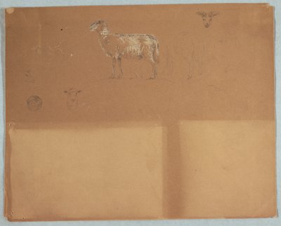 Studier av sauer, Ecuador eller Colombia av Frederic Edwin Church