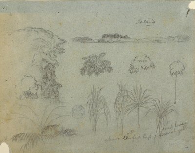 Studer med tretopper, trær, fem design av planter og en fjern øy av Frederic Edwin Church