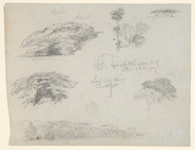 Trær, tretopper og en skogkledd bank, Saddleback, Maine av Frederic Edwin Church
