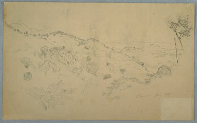 Wooded Vale med en stor bregne og fjerne fjellkjeder, Jamaica av Frederic Edwin Church