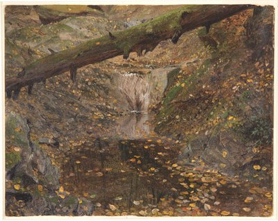 Woodland Stream, muligens Mt. Desert, Maine av Frederic Edwin Church