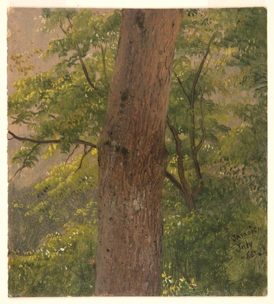 Woodland Study, Jamaica av Frederic Edwin Church
