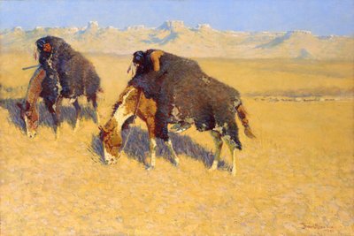  av Frederic Remington