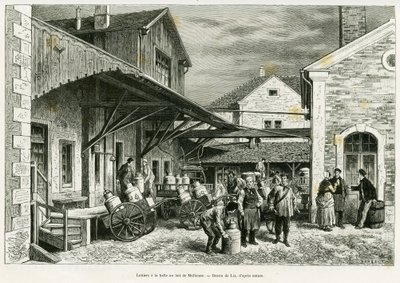Meieri i Milk Hall of Mulhouse. Gravering av Lix for å illustrere historien A travers l