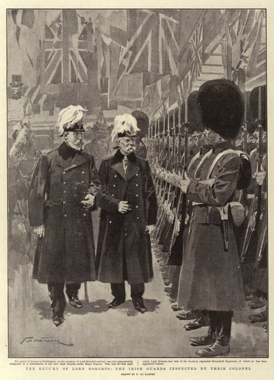 The Return of Lord Roberts, de irske vaktene inspisert av deres oberst av Frederic de Haenen