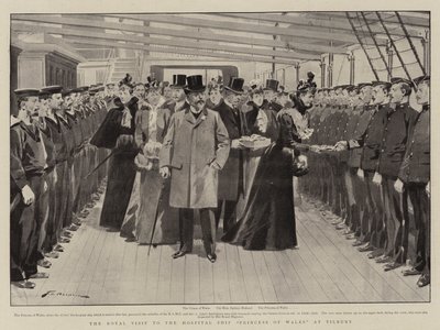 Det kongelige besøket til sykehusskipet Princess of Wales ved Tilbury av Frederic de Haenen