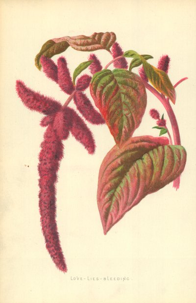 Kjærlighet-Løgn-Blør av Frederick Edward Hulme
