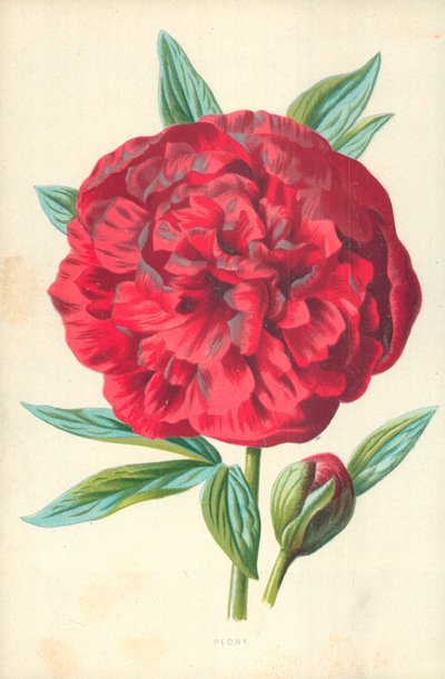 Peon av Frederick Edward Hulme