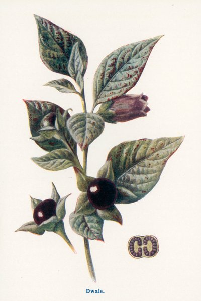  av Frederick Edward Hulme