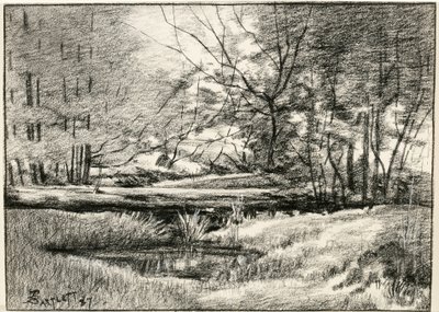 Basseng i Adirondacks av Frederick Eugene Bartlett