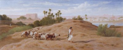 En geiteflokk nær Kairo av Frederick Goodall
