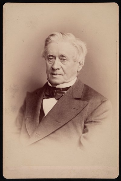 Portrett av Joseph Henry 1797-1878, 1876. av Frederick Gutekunst