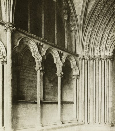 Ely-katedralen: Galilea-verandaen, detaljer av Frederick H. Evans