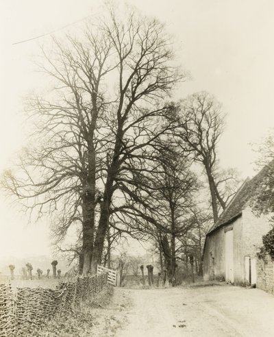 Kelmscott herregård: Vei og inngang av Frederick H. Evans