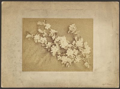  av Frederick H. Hollyer