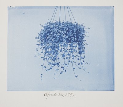 Uten tittel, 24. april av Frederick K. Coulson