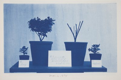 Uten tittel, 1. mars av Frederick K. Coulson