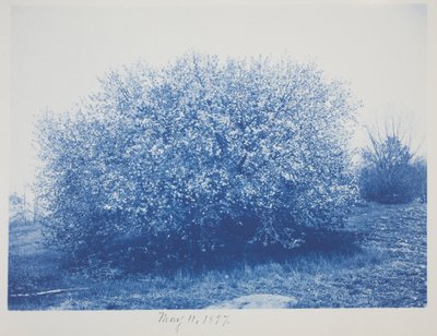 Uten tittel, 11. mai av Frederick K. Coulson