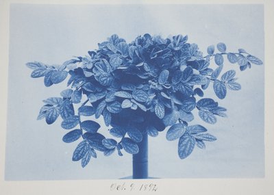 Uten tittel, 9. oktober av Frederick K. Coulson