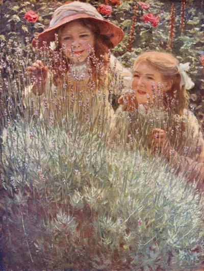  av Frederick Stead