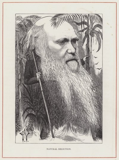 Charles Darwin, Naturlig utvalg av Frederick Waddy