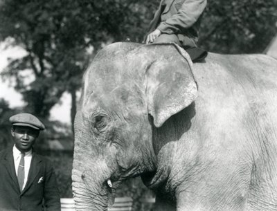 En burmesisk elefant med sin trener og en annen mann, London Zoo, september 1926 av Frederick William Bond