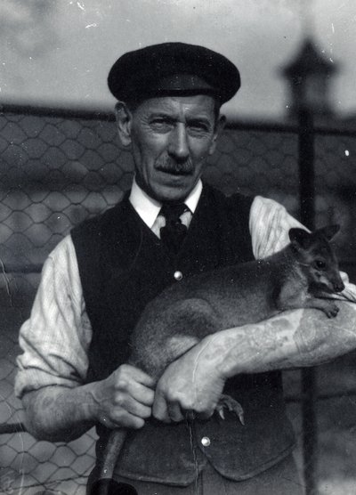 En keeper holder en wallaby, oktober 1920 (s/hvitt-bilde) av Frederick William Bond