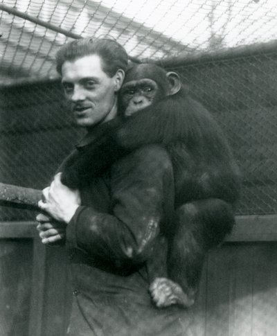 En mann bærer sjimpansen Sally på ryggen, London Zoo, 1924 av Frederick William Bond