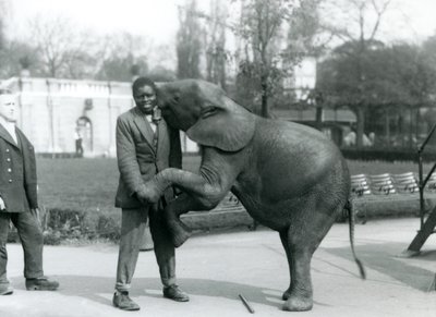 En ung afrikansk pygméelefant står på bakbena for å omfavne den afrikanske treneren sin, mens keeperen ser på, London Zoo, juli 1925 av Frederick William Bond