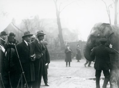 En indisk elefant, muligens Sundermalah, som deltok i en ekstern sending fra London Zoo, 1925 av Frederick William Bond
