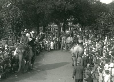 Elefantritt, med tre asiatiske elefanter sett av mengder av tilskuere ved London Zoo i august 1926 (s/hvitt-bilde) av Frederick William Bond