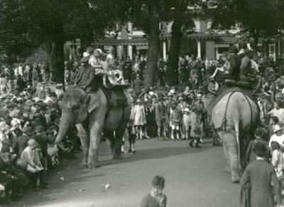 Elephant Rides, med to asiatiske elefanter sett av mengder av tilskuere i London Zoo i august 1926 (s/hv-bilde) av Frederick William Bond