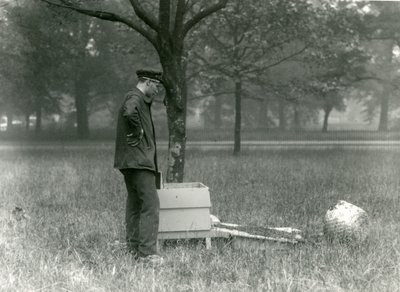 Keeper Brown flyttet en sverm av honningbier, London Zoo, juli 1926 av Frederick William Bond