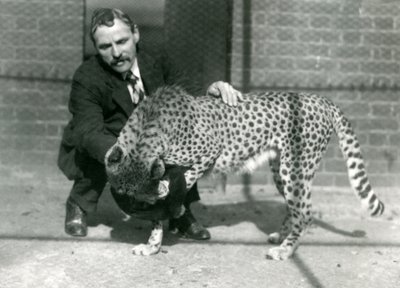 Keeper Charles Dixon med en leken gepard i London Zoo, oktober 1922 av Frederick William Bond